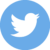 twitter-standard-icon